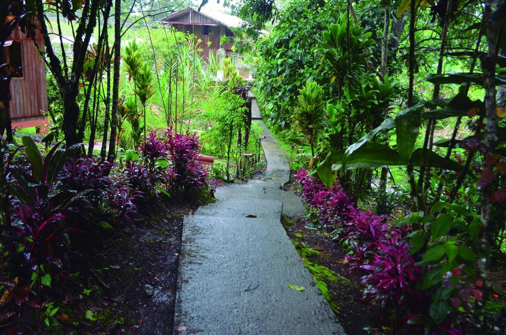 Hosteria Kindi Wasi Hotel Puyo Exterior photo